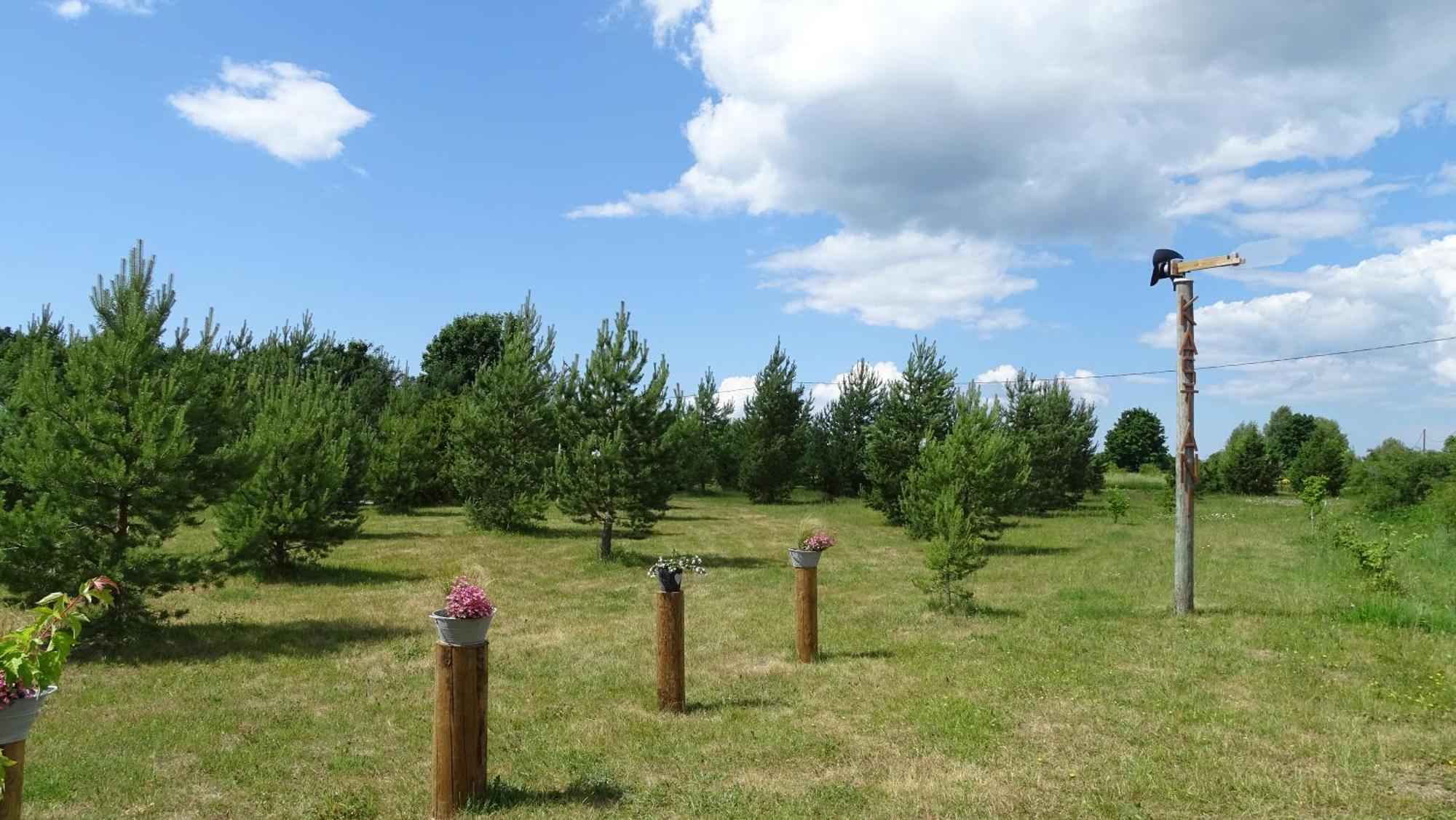 Kastani Camping Haapsalu Εξωτερικό φωτογραφία